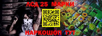 индика Кандалакша