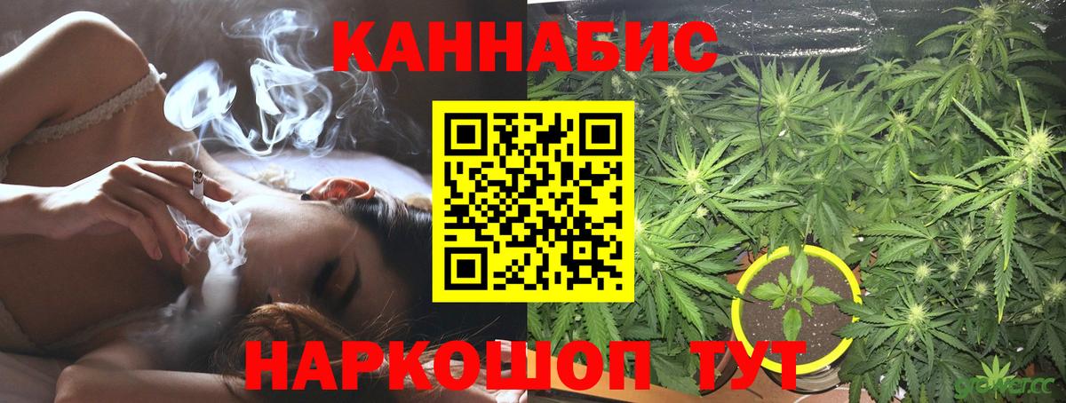 Конопля MAZAR Курчатов